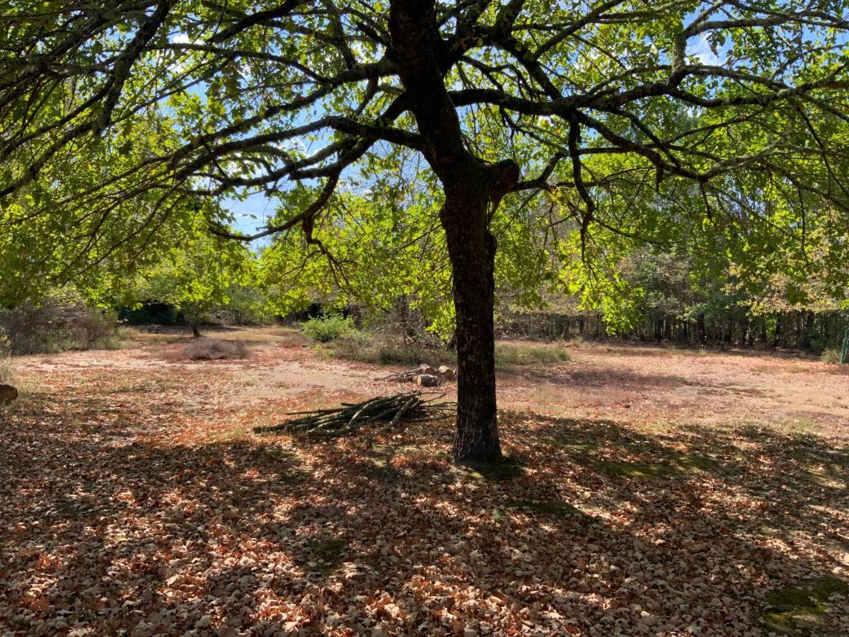 Domaine De Labelo Panzió Commensacq Kültér fotó