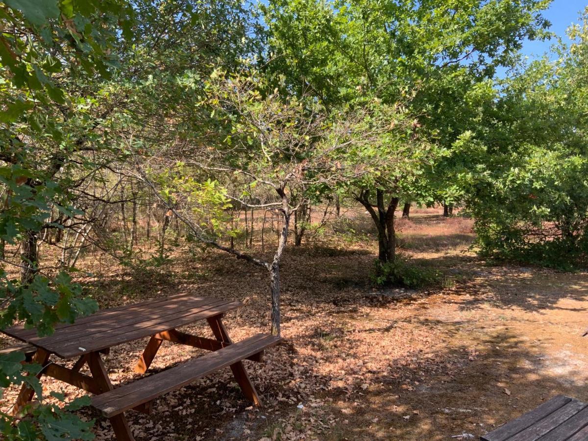 Domaine De Labelo Panzió Commensacq Kültér fotó